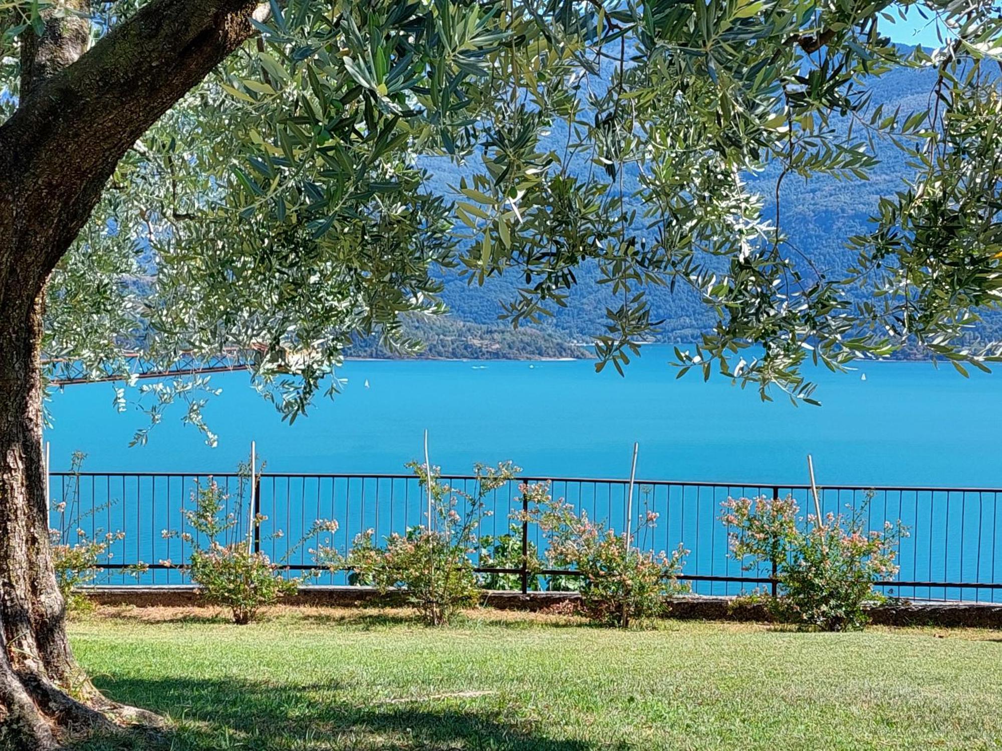 Casa Vacanze Perla Del Lago Domaso Exterior photo
